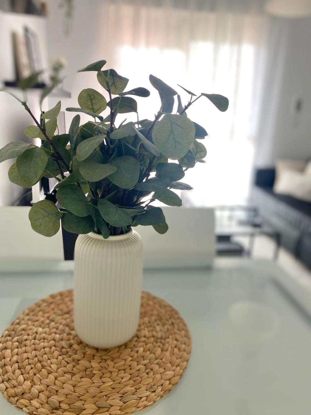 Apartamento Atlantico Rota Εξωτερικό φωτογραφία